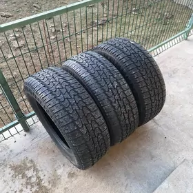 NANKANG  265  60  18