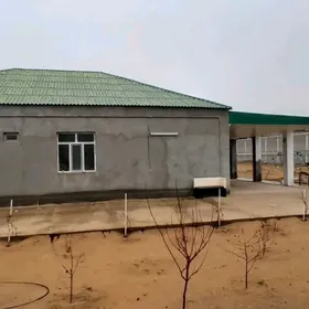 plan jay magtymguly 12 sot