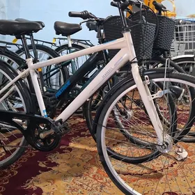 tigir ÿapoşka welik