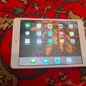 ipad mini