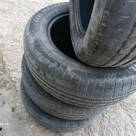 17-lik sienna raboçi aýak