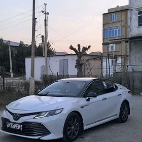 Toyota Camry 2019