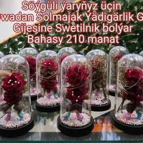 Solmajak Söýgüli Güli