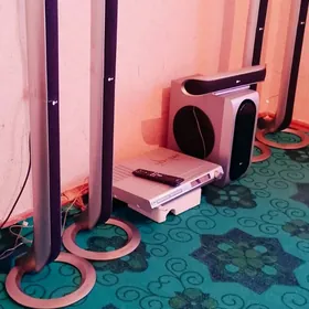 Калуга дамашн