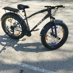 светлые велик