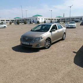 Toyota Corolla 2010