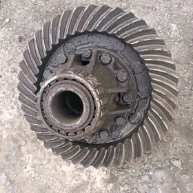 Reduktirin plantarkasy