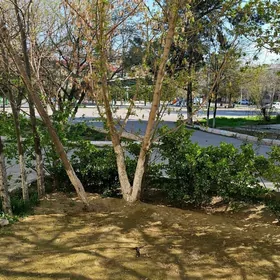 Şewçenko Repina 2-komnat Dwor