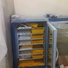 екватир    иекватир   ейра