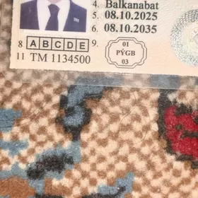 Surijilik is gozleyan