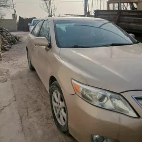 Toyota Camry 2010