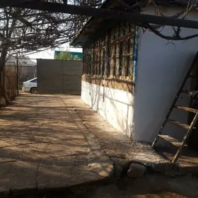 Dacha mary gres micurin