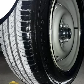 lada Rodnoy teker 13 lik