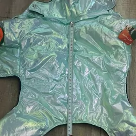 одежда для маленьких собачек