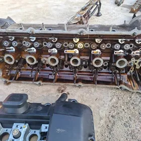 galowk66665446na 2.8 matorynky