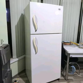 холодильник элжы