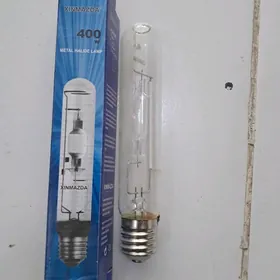 proźektoryn lampasy