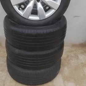 disga pakrişga karolla 16lyk