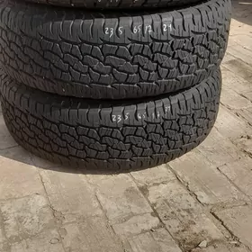 pakrişga 235 65 17lik