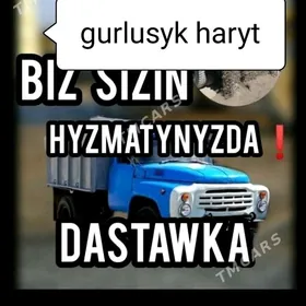 MITI SEMENT DERS KERPIC GUM DA