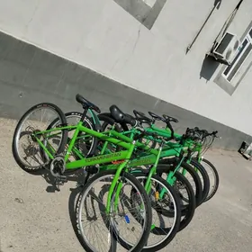 TIGIR 26LIK TURKMENISTAN 