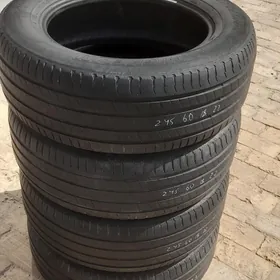 pakrişga 245 60 18 Mişlen