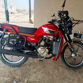 Fekon FK200-14G 2026