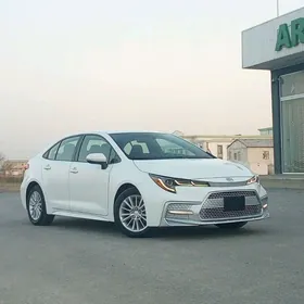 Toyota Corolla 2021
