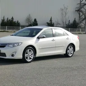 Toyota Camry 2013
