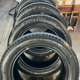 255/55R19
