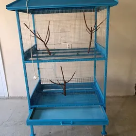 Guş ketek taze sokulup duzulya