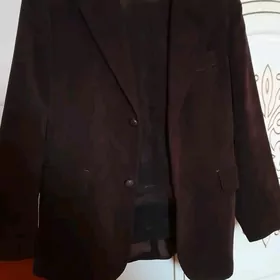 wilwet kast yumurtga jalbyr