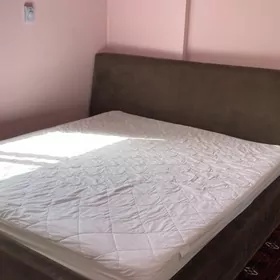 Uly 2 adamlyk krawat