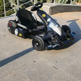 TIGIR SAMAKAT MATOR GONCIK