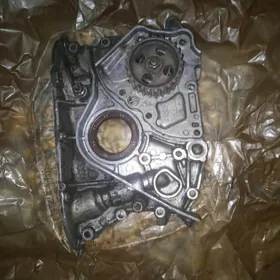 Masynoy Nasoz 22 kemiri