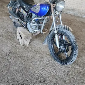 Fekon FK200-14G 2023