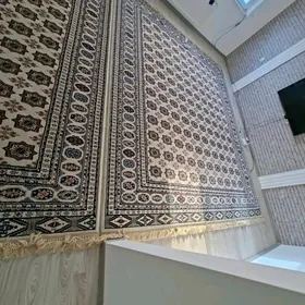 geyilen eşik pasuda hali alyan