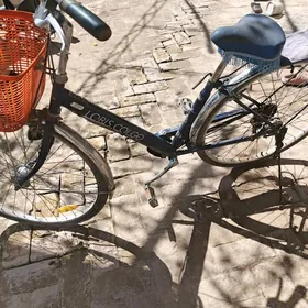 welik welosepet tigir obmen