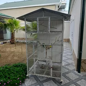 kletka gushlary bilen