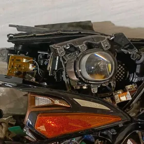 jenesis G70 ŷyl19 fara zapjas