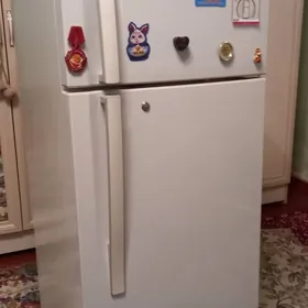 kir masyn haladilnik