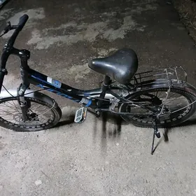 welaspet 20 lik ram tigyr