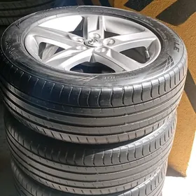 Palta Cemry S Klas 17 lik Disgasy