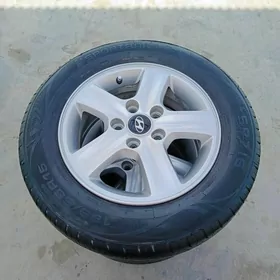 Hundaý disge pakryşga 15