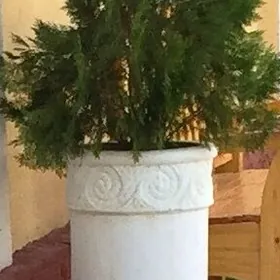 2 Декоративных Кашпо