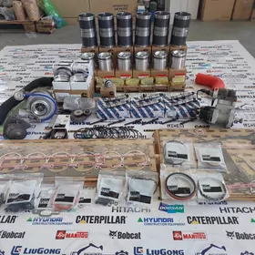 Cummins motoryň şaýlary