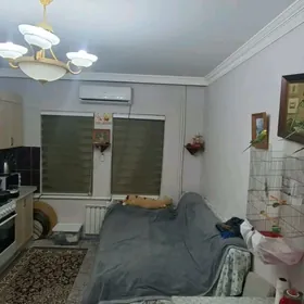 Mir-7/3 1kom satlyk jaý