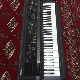 YAMAHA PSR-6300