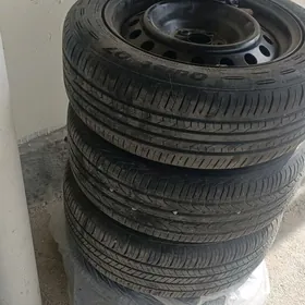 Tekar diska pakrişka