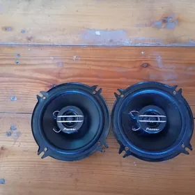 Pioneer Gapy kalonka